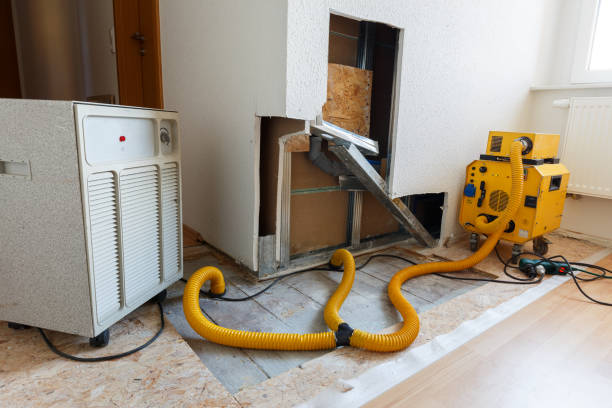 Best Mold Remediation for Vacation Homes  in Jemez Pueblo, NM